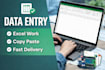 do data entry, copy paste, typing