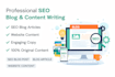 write SEO blog articles and website content