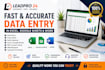 do fast and accurate data entry in excel, google sheets, and word