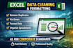 do professional excel data cleaning and formatting as per corporate standards