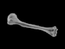 3d medical animation for your project