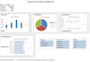 analyze your sales data and create an excel dashboard