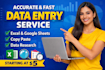 do data entry, copy paste, excel data and web research