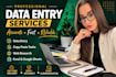 do data entry, VA, and translation