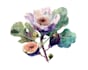 draw watercolor flowers and plants