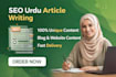 write SEO urdu blog articles and website content
