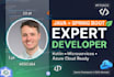 java spring boot rest API entwicklung