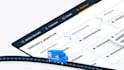 provide professional project management services