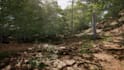 create procedural content generation and pcg systems in unreal engine 5, ue5