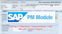 be your sap pm consultant