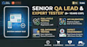 provide expert QA manual testing, API validation, and sql data testing