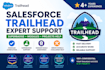 help with salesforce trailhead challenges and super badges