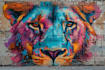 design graffiti designs, murals and wall arts