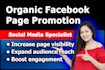 promote your facebook page organically