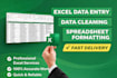 do professional microsoft excel data entry and data analysis