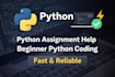 help solve python assignments and beginner coding tasks