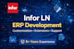 develop and customize infor ln erp solutions