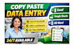 do accurate data entry and excel data entry