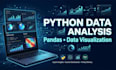 do python data analysis, visualization and pandas dashboard