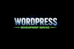 make professional wordpress website