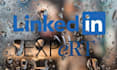 write your professional linkedin post