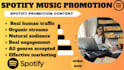 do a standout spotify track promotional campaign to promote your song