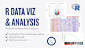 create professional data visualizations and publication ready plots in r
