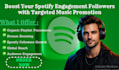 do spotify music promotion