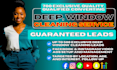 800 fresh deep cleaning leads, window cleaning, deep cleaning leads, google ads