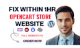 expertly fix opencart wordpress debug prestashop website integrate hubsopt