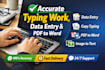 accurate typing work, data entry and PDF to word