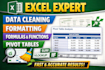 do excel data cleaning, formatting, formulas,pivot tables