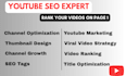 do complete video channel SEO and optimization