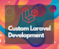 professionally develop website on laravel framework