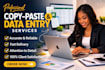 do fast and accurate data entry, copy paste and typing work