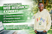 professional manual web research and data collection