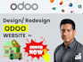 do odoo website development, customization, and API integration