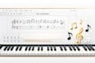 write professional sheet music using sibelius or finale notation