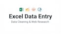 excel data entry, copy paste, and data mining work