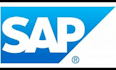 give sap fico consultancy
