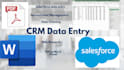 crm data entry, data cleaning, and spreadsheet management