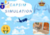 do capsim simulation tasks