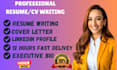 provide professional resume writing services