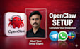 setup and install openclaw ai automation professionally