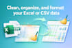 clean, organize, and format your excel or CSV data