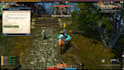 setup your mmorpg private server professionally