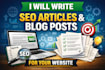 write SEO blog articles and website content