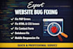 do website bug fixing