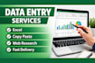 do accurate data entry, copy paste tasks and  excel tasks