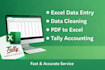 excel data entry and tally accounting